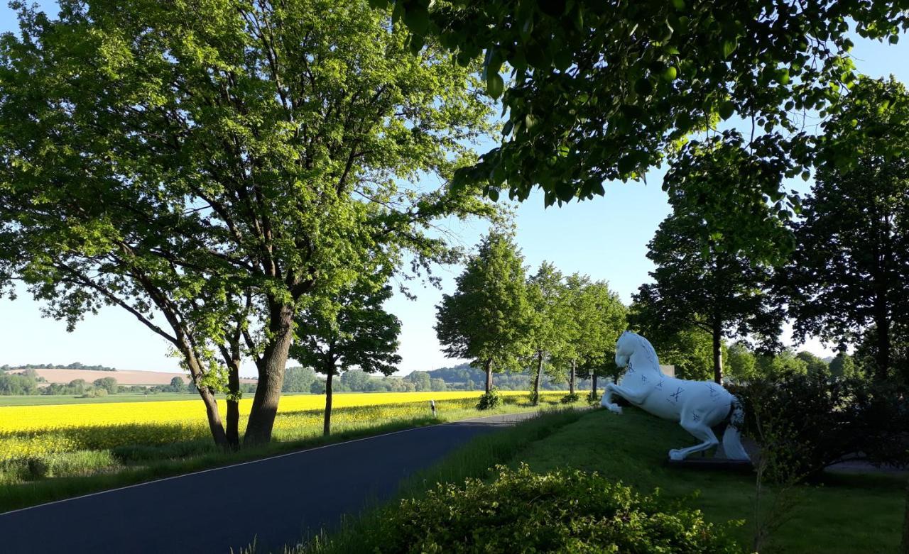 Reiterhof Schmidt, Gaststaette & Pension Golk 外观 照片