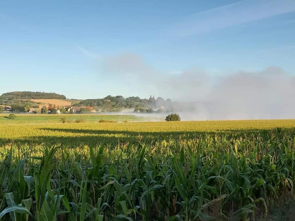 Reiterhof Schmidt, Gaststaette & Pension Golk 外观 照片